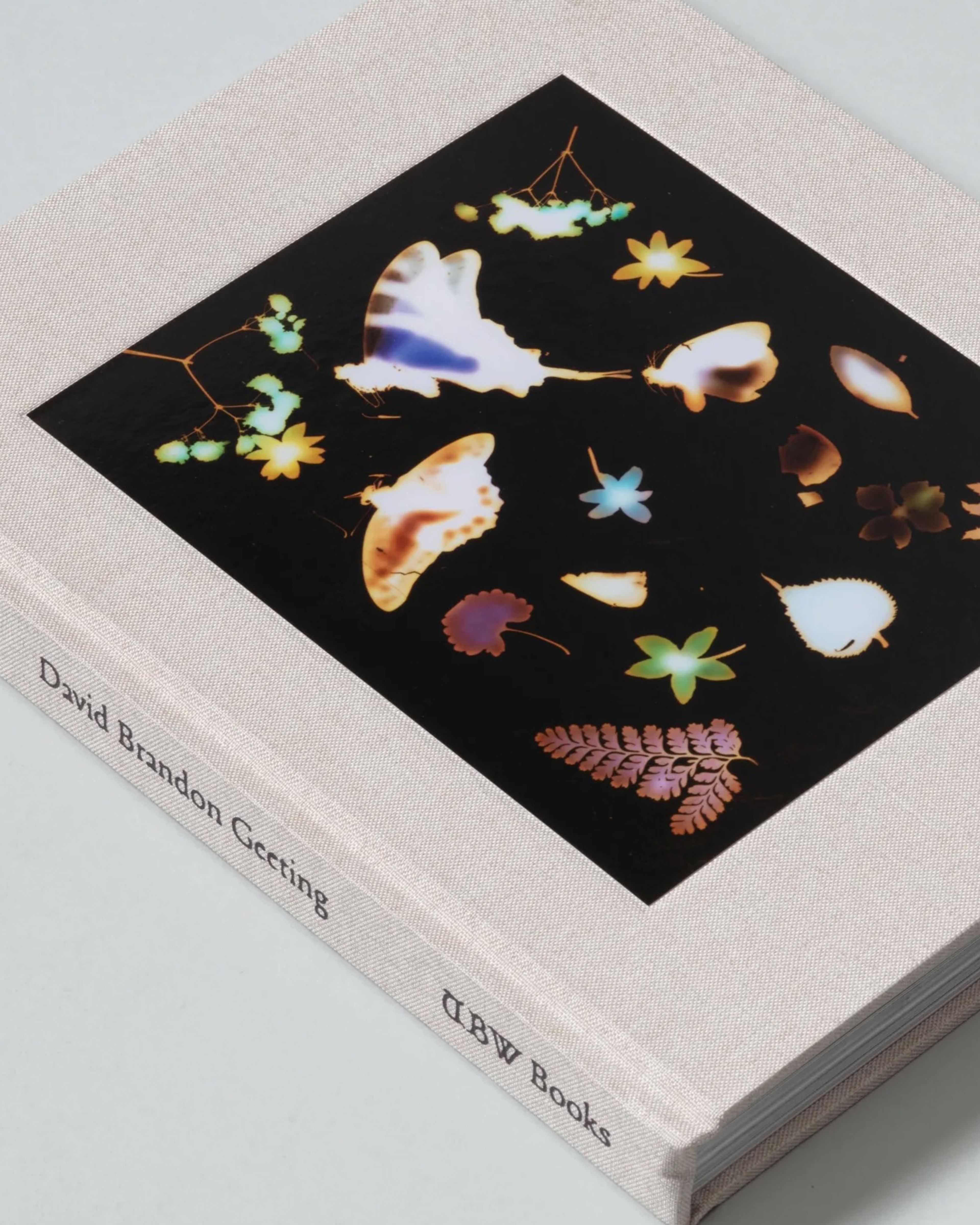 Typography and design direction for The Marble by David Brandon Geeting, TBW books, 2025.