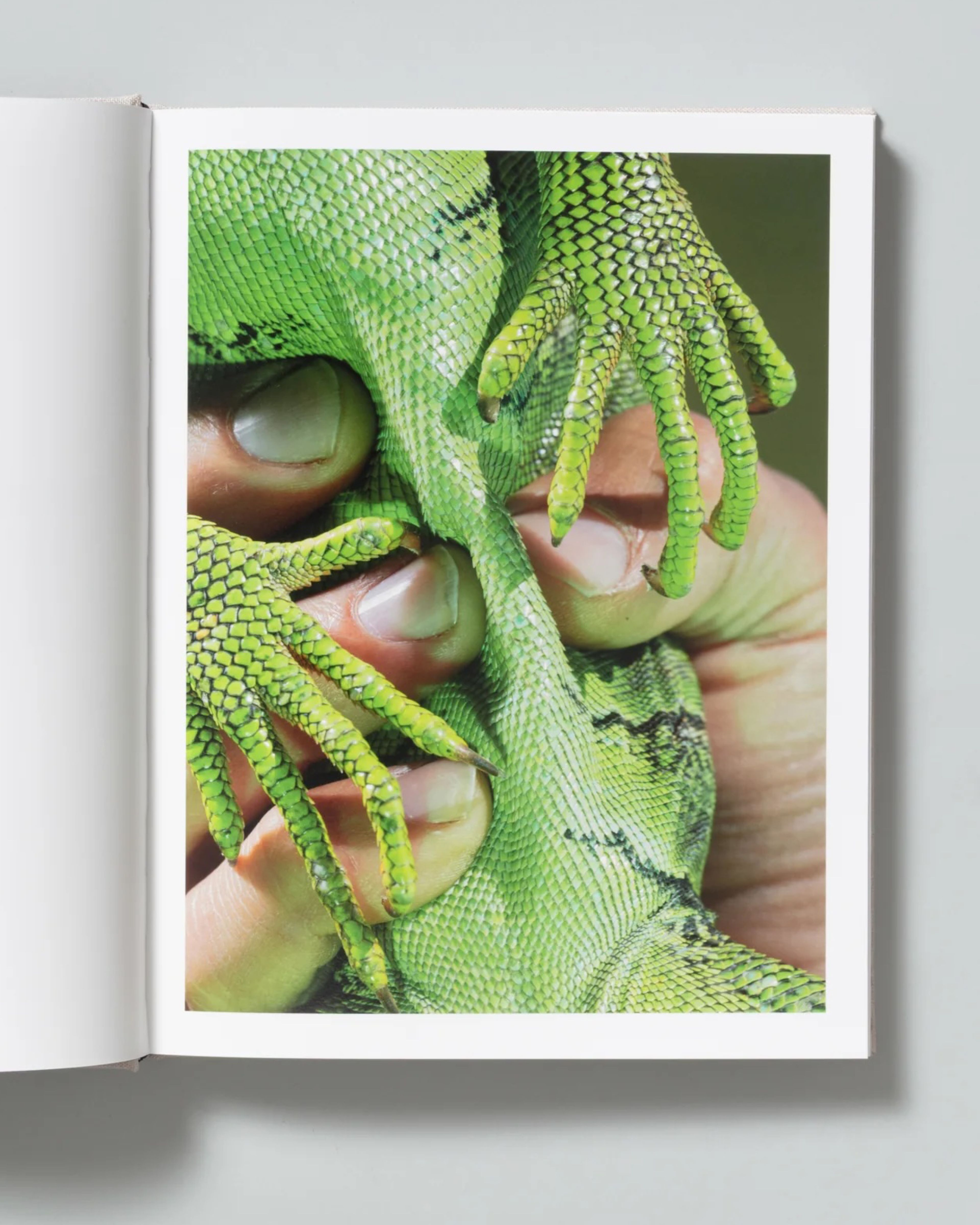 Typography and design direction for The Marble by David Brandon Geeting, TBW books, 2025.